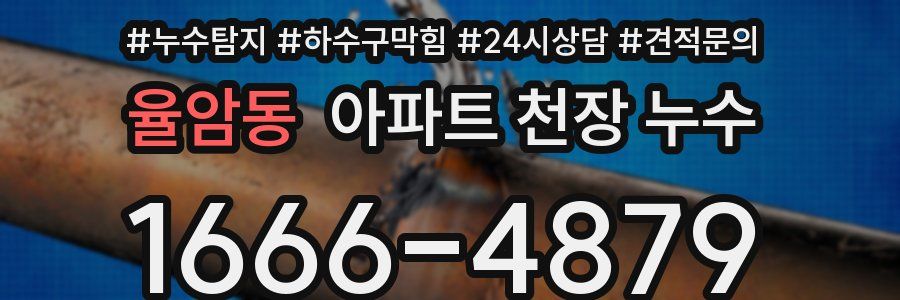 율암동 아파트 천장 누수