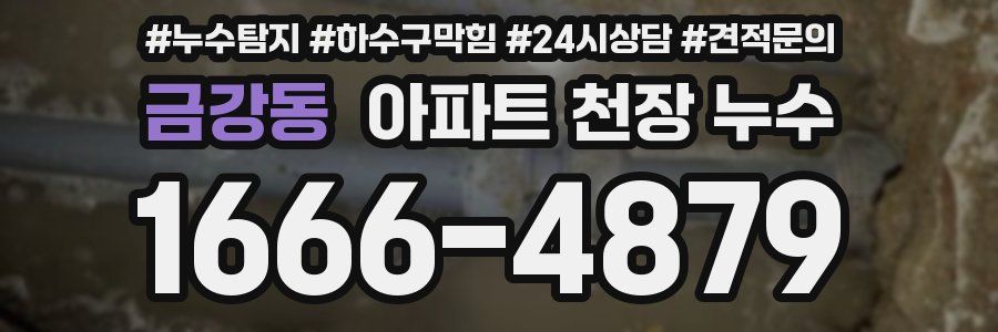 금강동 아파트 천장 누수