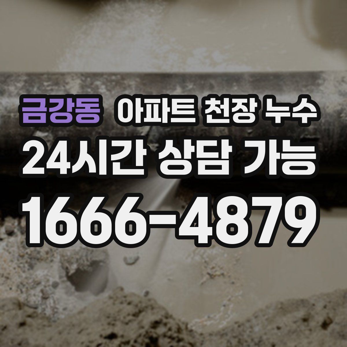 금강동 아파트 천장 누수