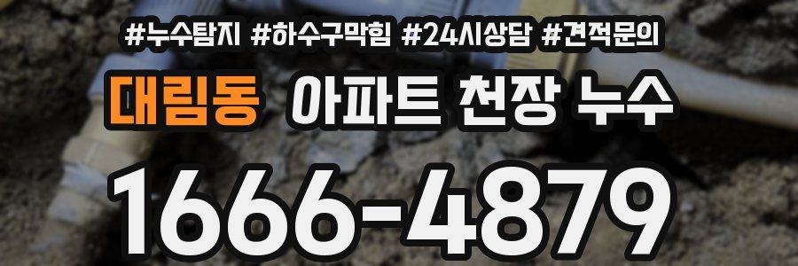 대림동 아파트 천장 누수