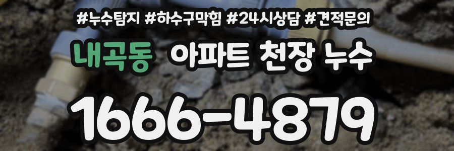 내곡동 아파트 천장 누수