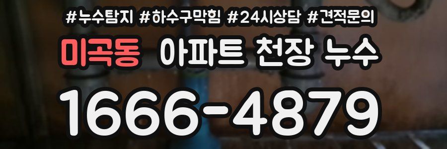 미곡동 아파트 천장 누수