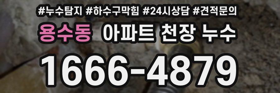 용수동 아파트 천장 누수