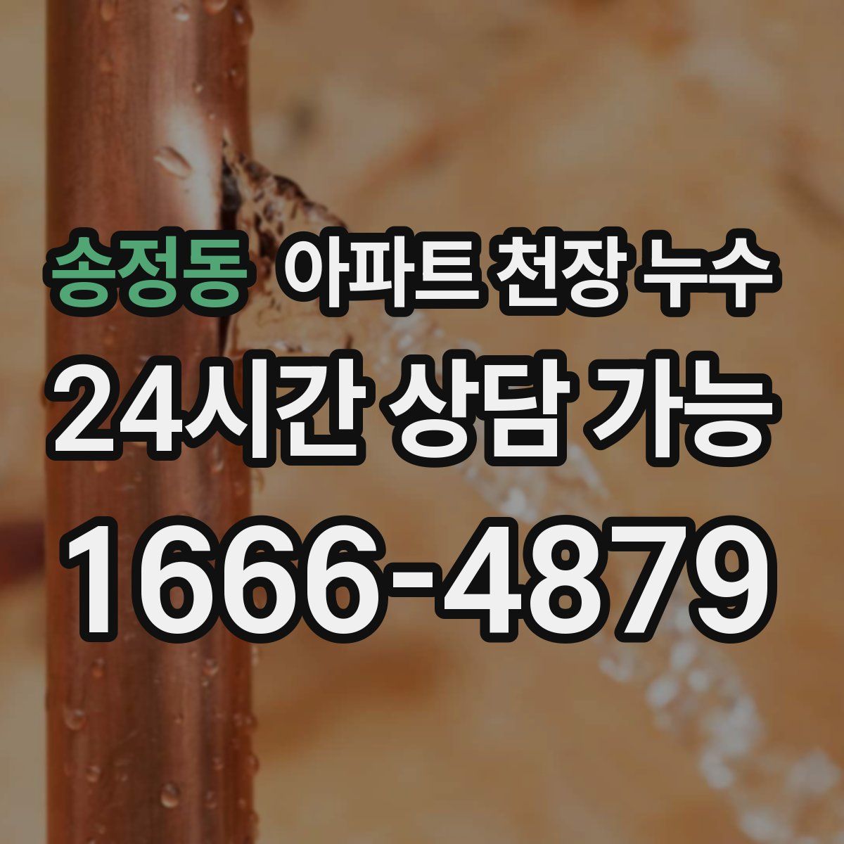 송정동 아파트 천장 누수