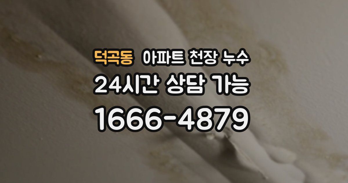덕곡동 아파트 천장 누수