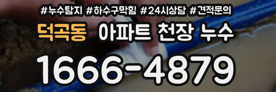 덕곡동 아파트 천장 누수