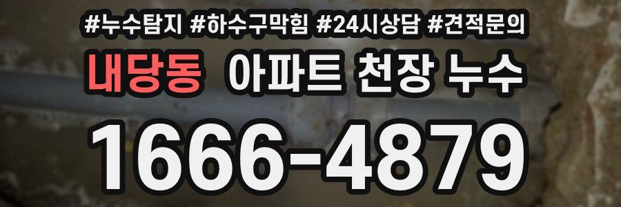 내당동 아파트 천장 누수