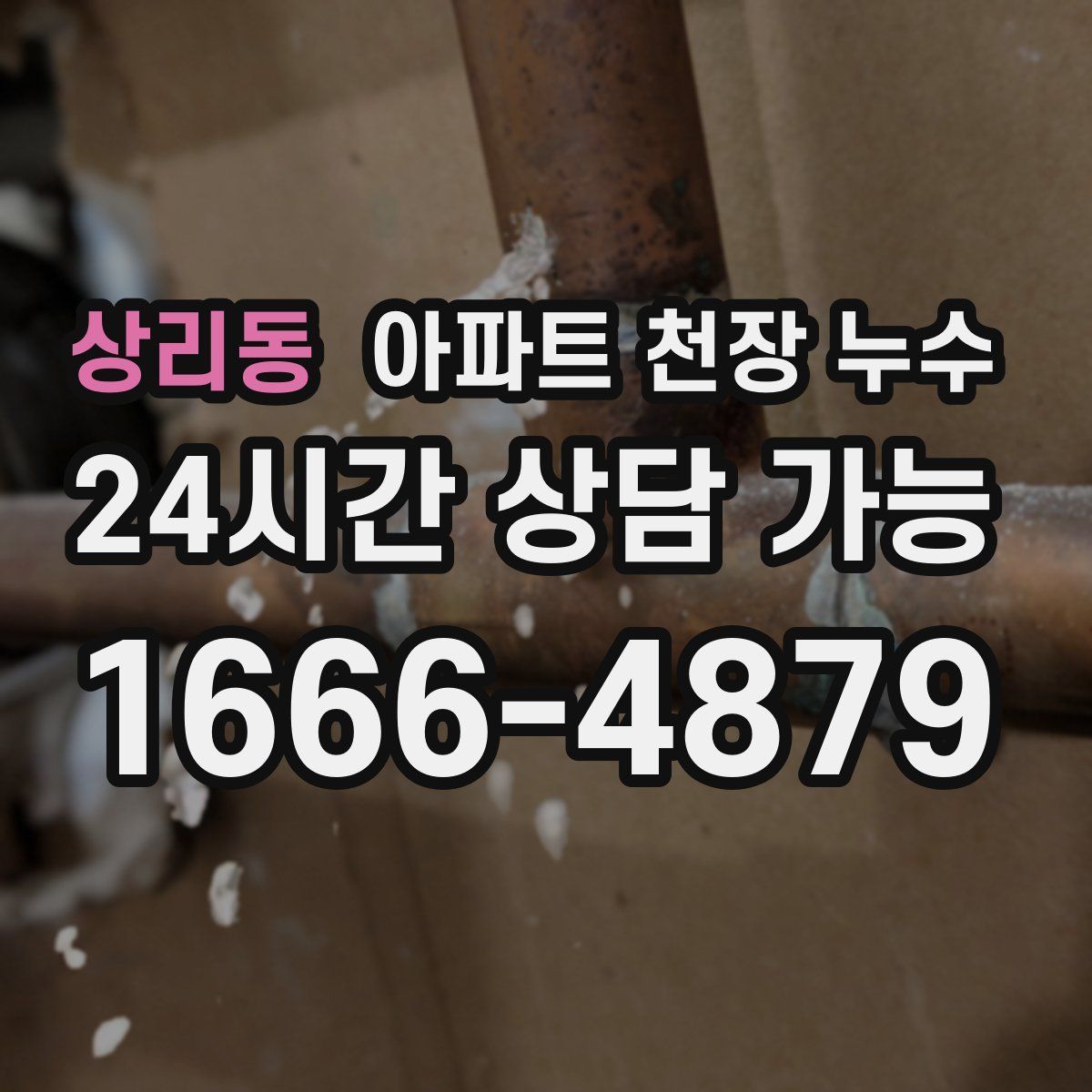상리동 아파트 천장 누수