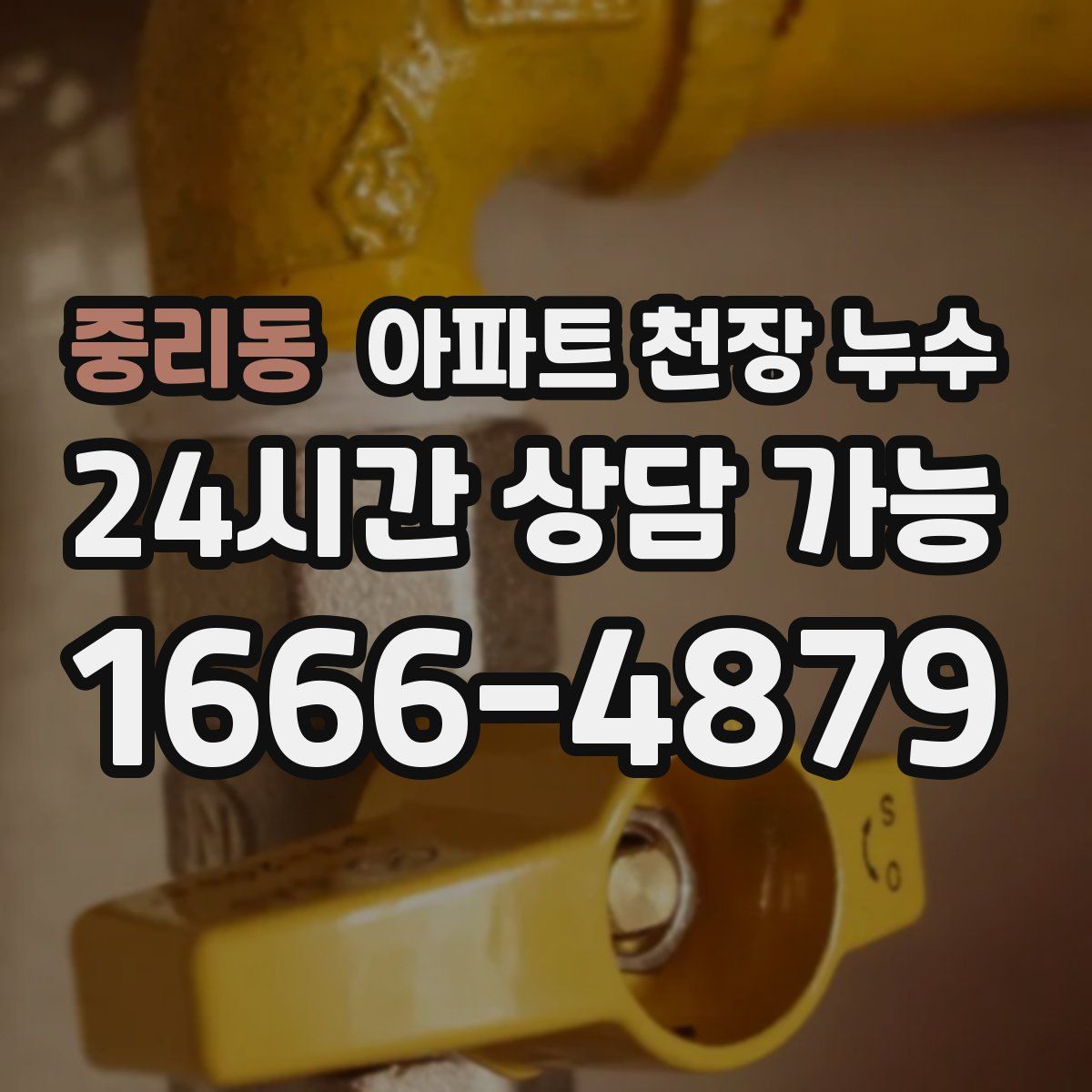 중리동 아파트 천장 누수