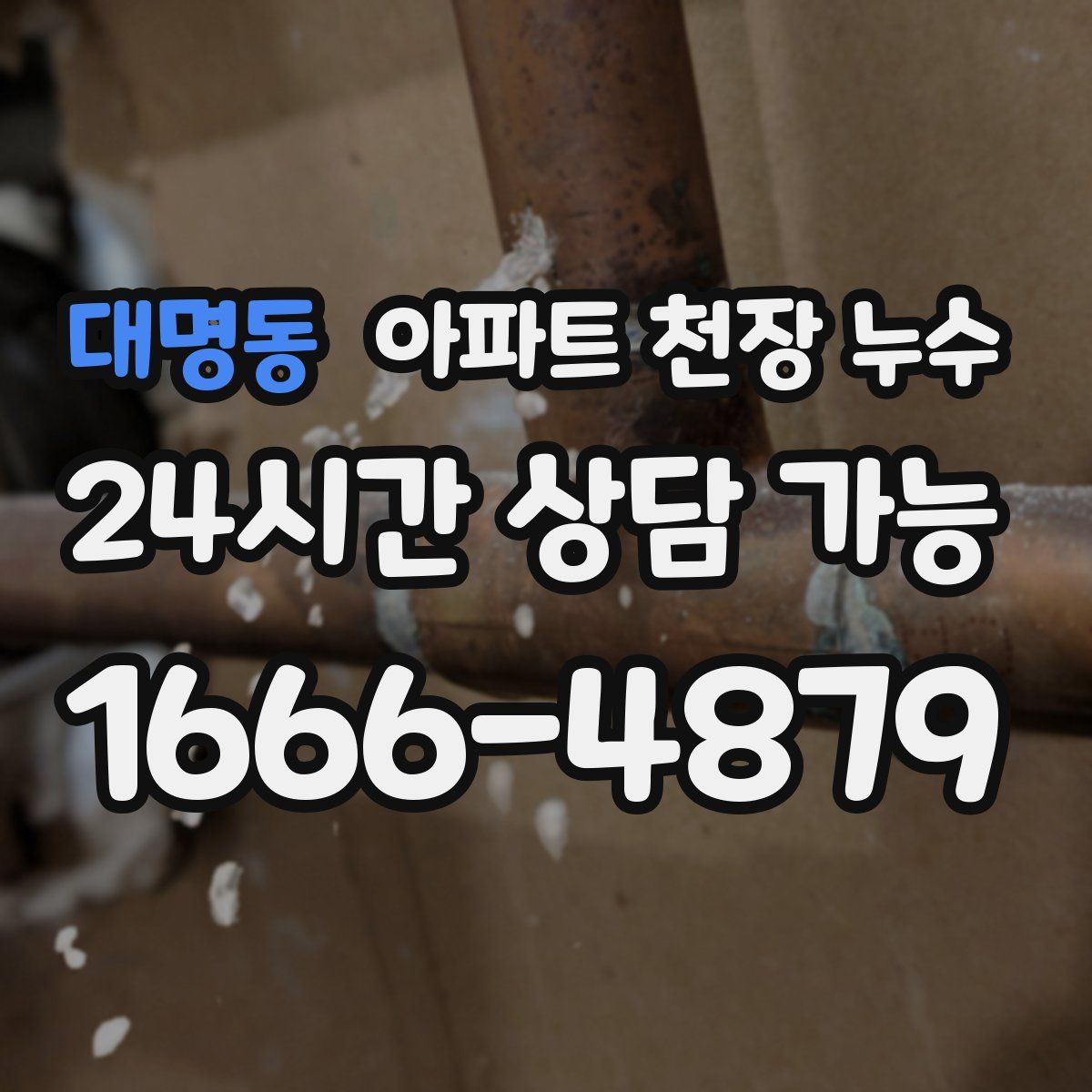 대명동 아파트 천장 누수