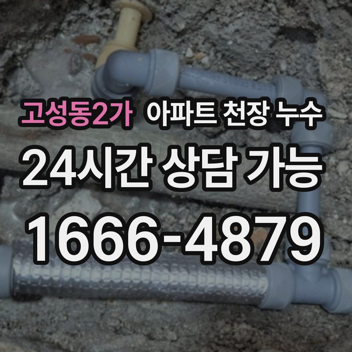 고성동2가 아파트 천장 누수