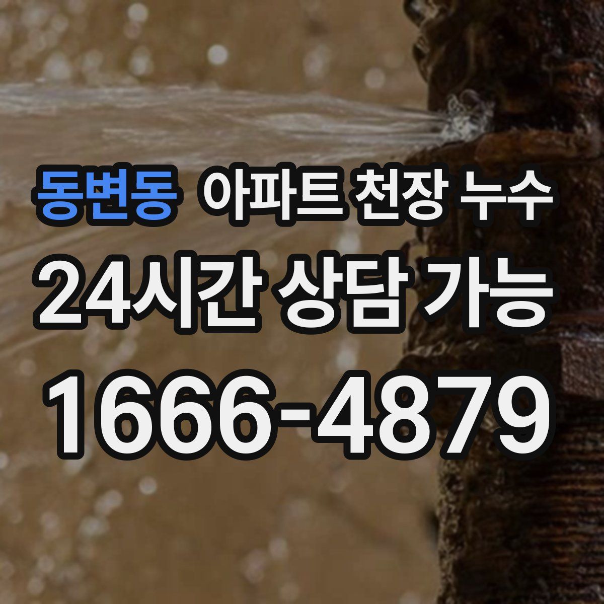 동변동 아파트 천장 누수