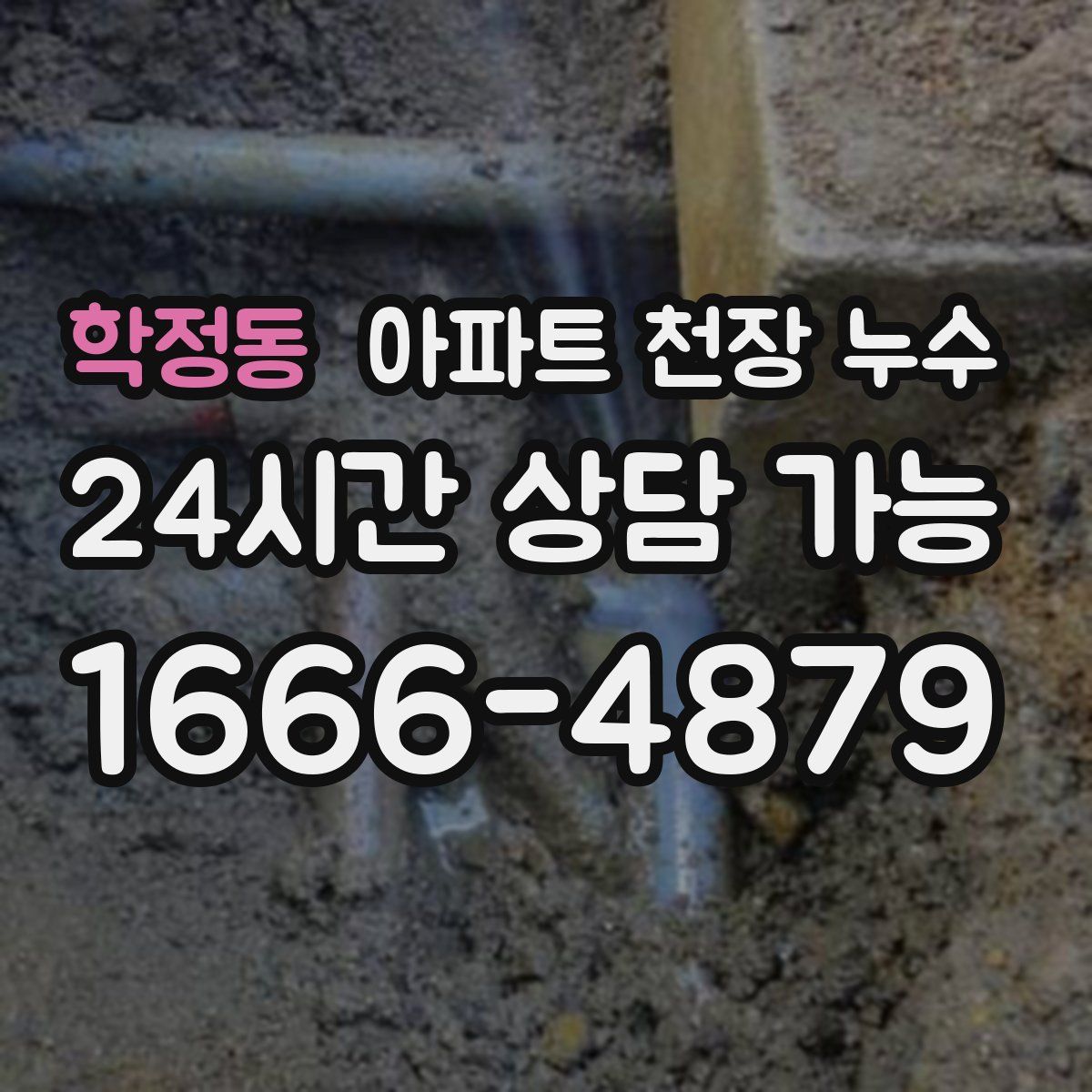 학정동 아파트 천장 누수