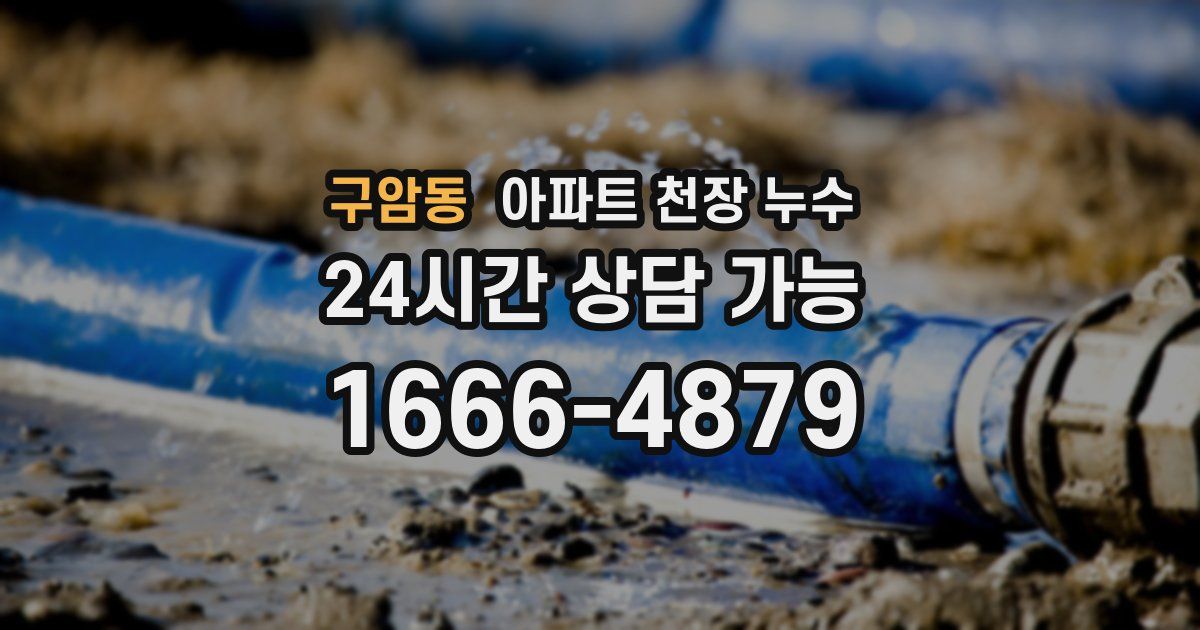 구암동 아파트 천장 누수