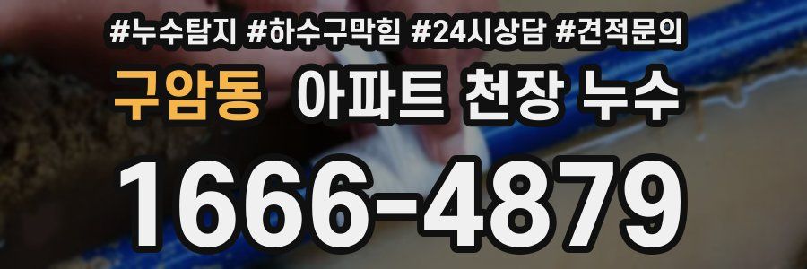 구암동 아파트 천장 누수