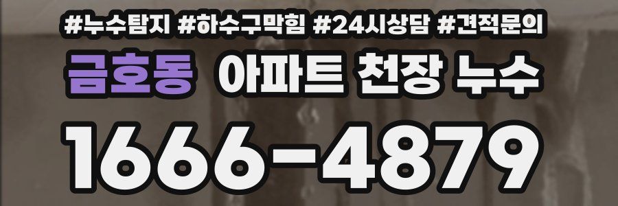 금호동 아파트 천장 누수
