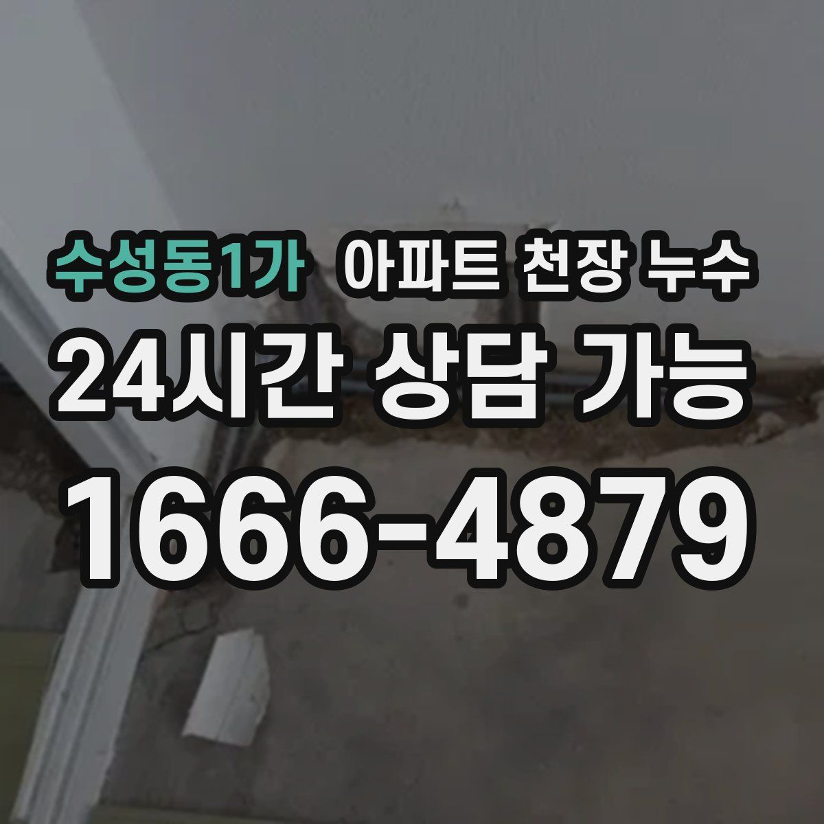 수성동1가 아파트 천장 누수