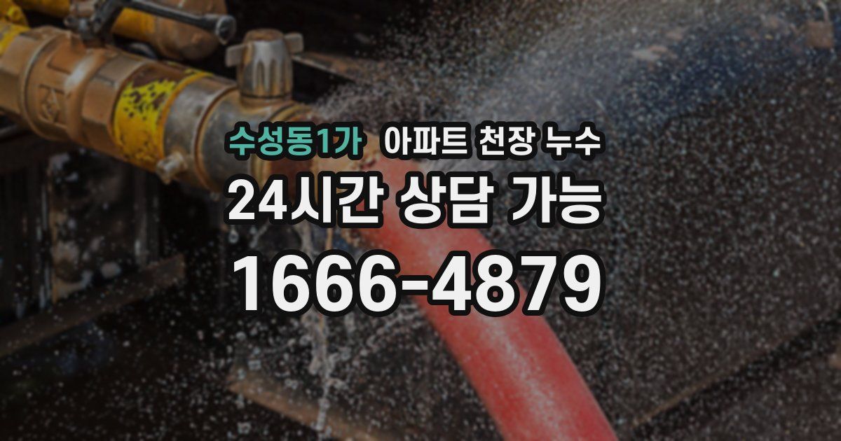 수성동1가 아파트 천장 누수