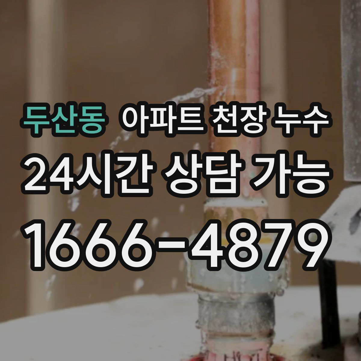 두산동 아파트 천장 누수
