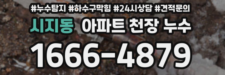 시지동 아파트 천장 누수
