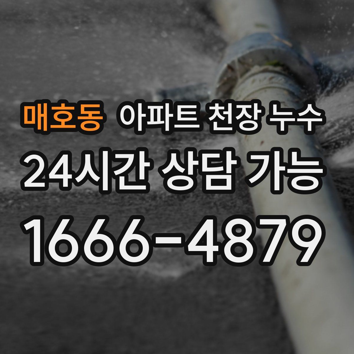 매호동 아파트 천장 누수