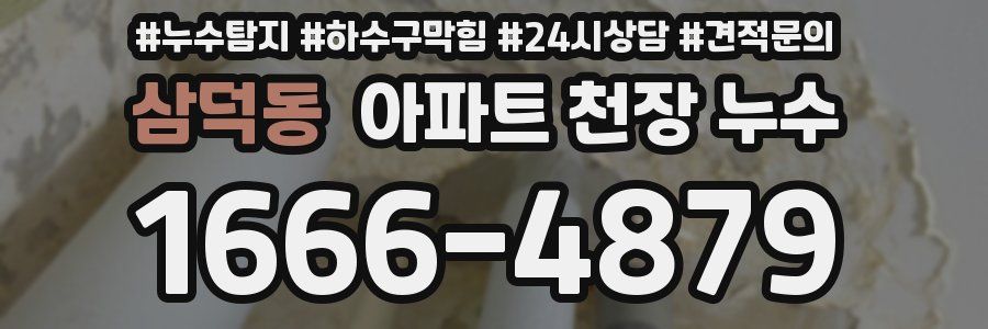 삼덕동 아파트 천장 누수