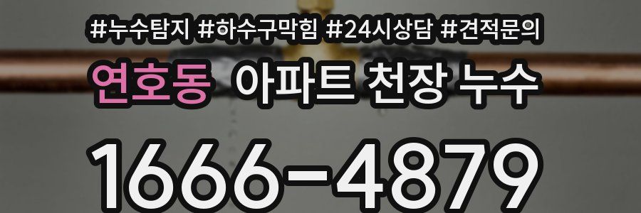 연호동 아파트 천장 누수