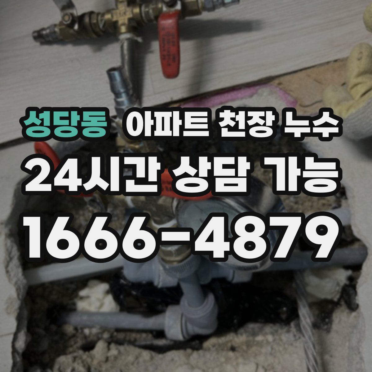 성당동 아파트 천장 누수