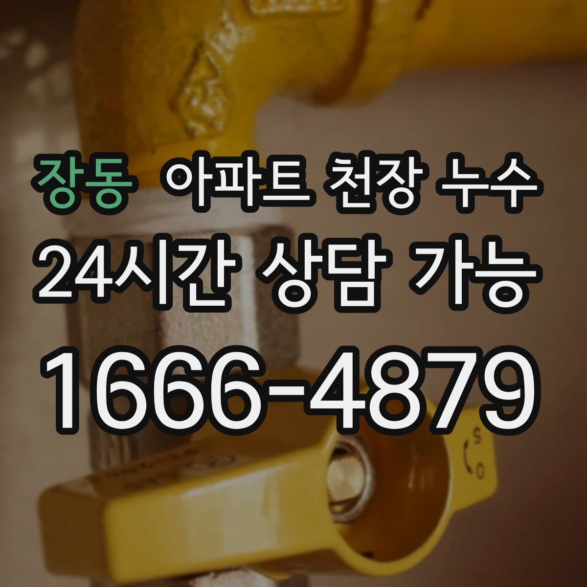 장동 아파트 천장 누수