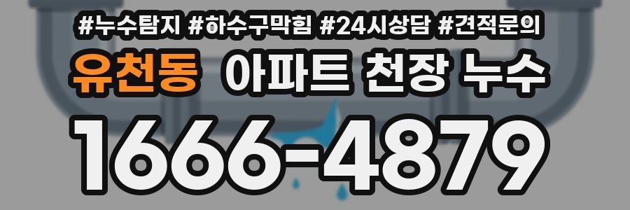 유천동 아파트 천장 누수