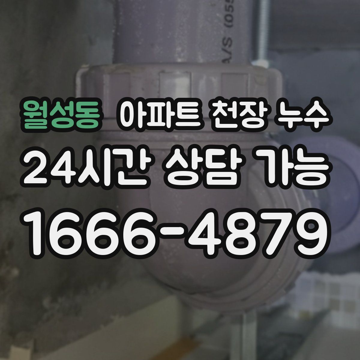 월성동 아파트 천장 누수