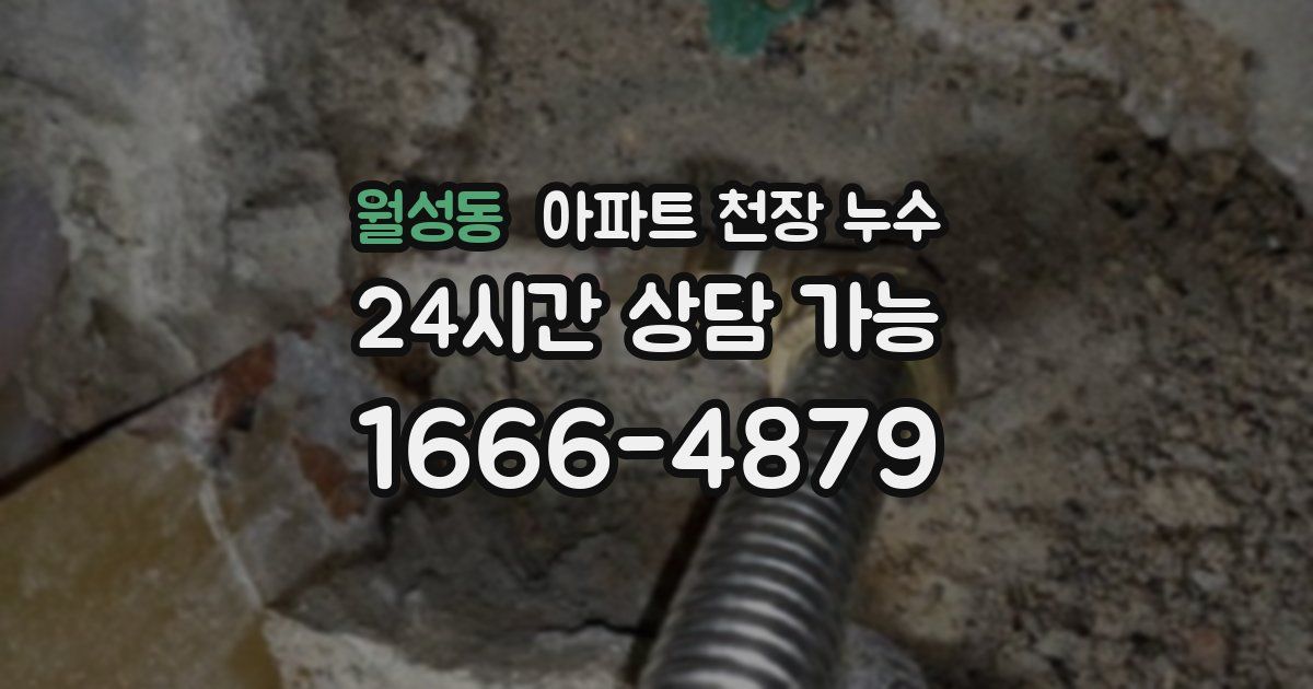 월성동 아파트 천장 누수