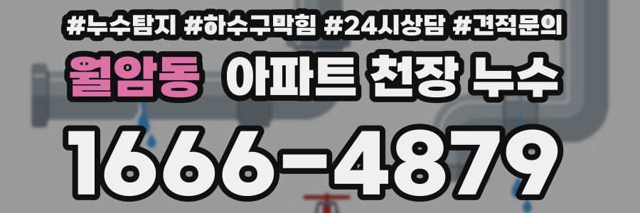 월암동 아파트 천장 누수