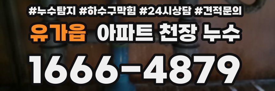 유가읍 아파트 천장 누수