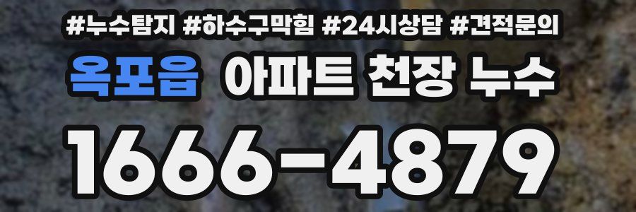 옥포읍 아파트 천장 누수