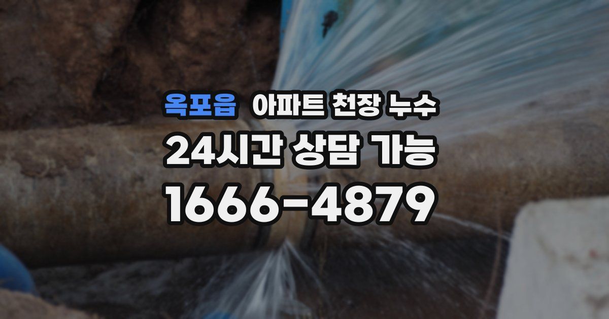 옥포읍 아파트 천장 누수