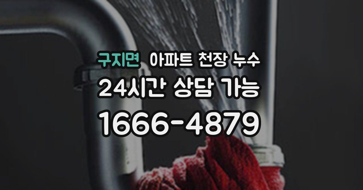구지면 아파트 천장 누수