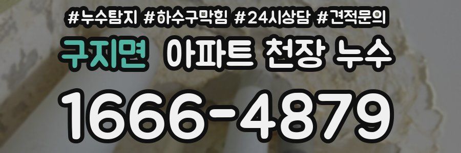 구지면 아파트 천장 누수