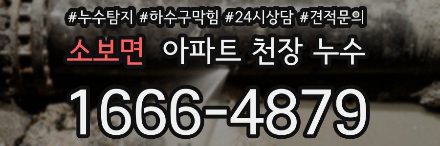소보면 아파트 천장 누수