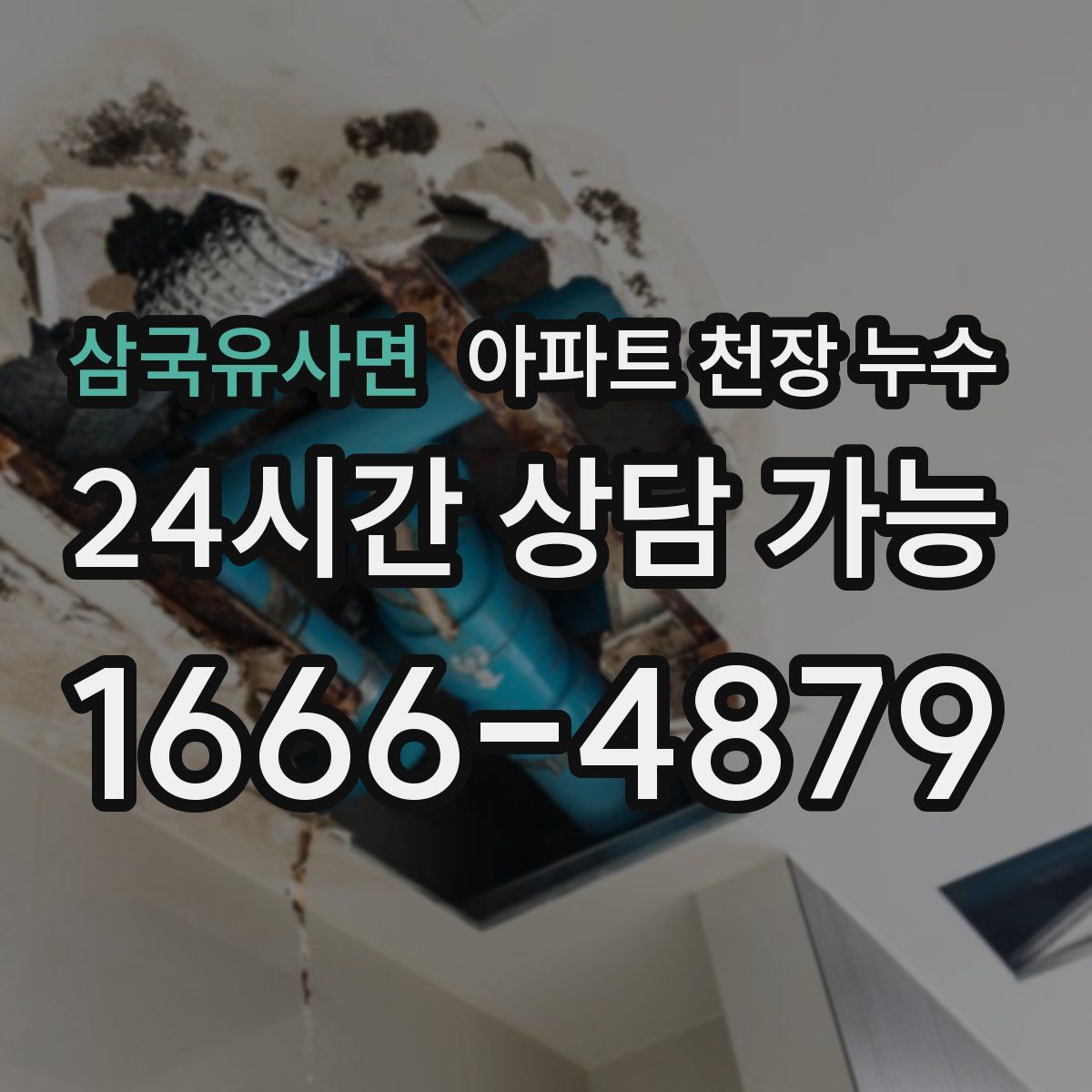 삼국유사면 아파트 천장 누수