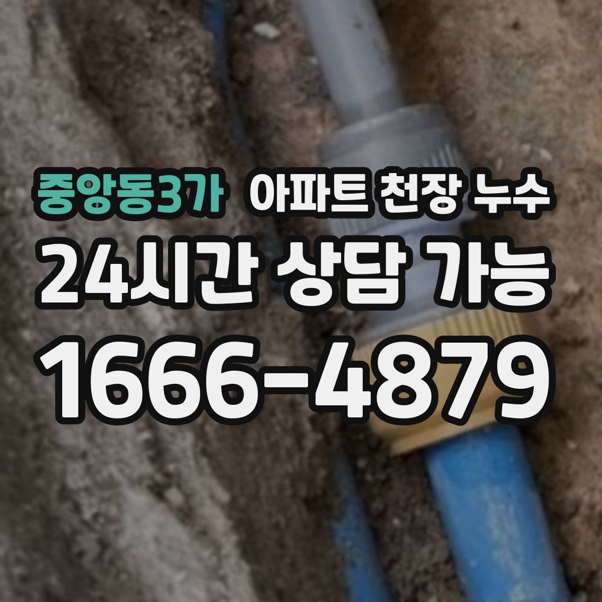 중앙동3가 아파트 천장 누수