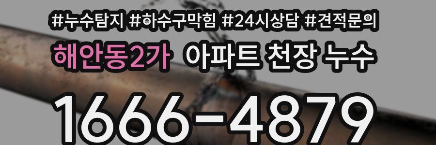 해안동2가 아파트 천장 누수