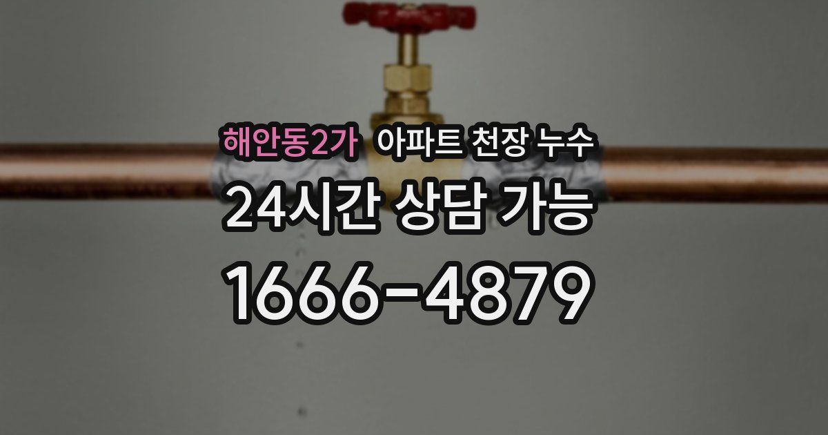 해안동2가 아파트 천장 누수