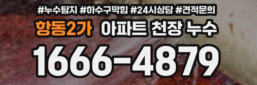 항동2가 아파트 천장 누수
