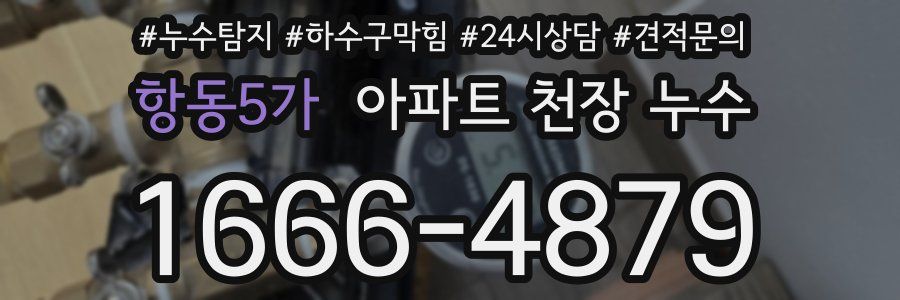항동5가 아파트 천장 누수