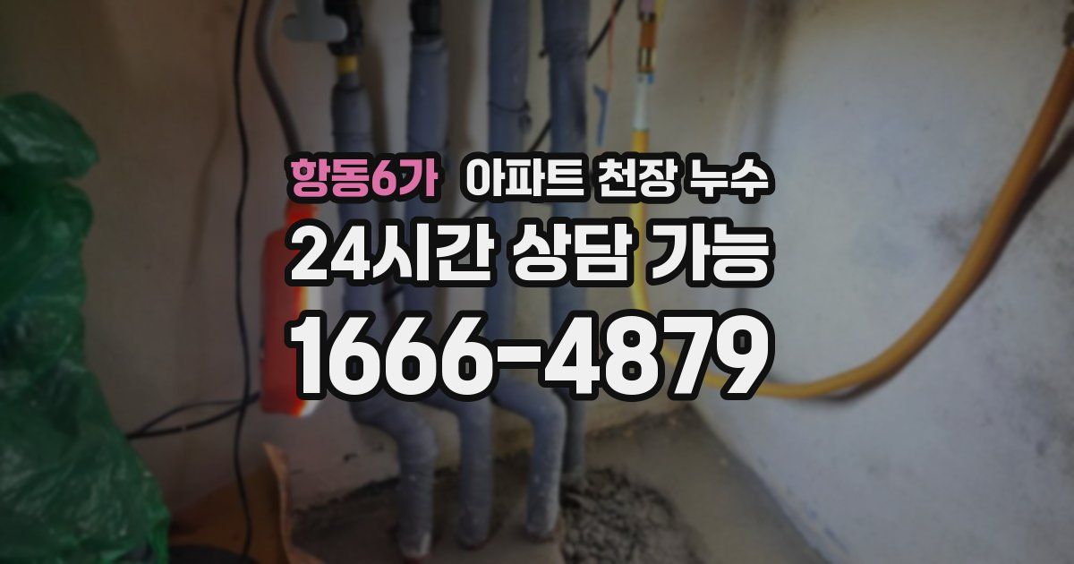 항동6가 아파트 천장 누수