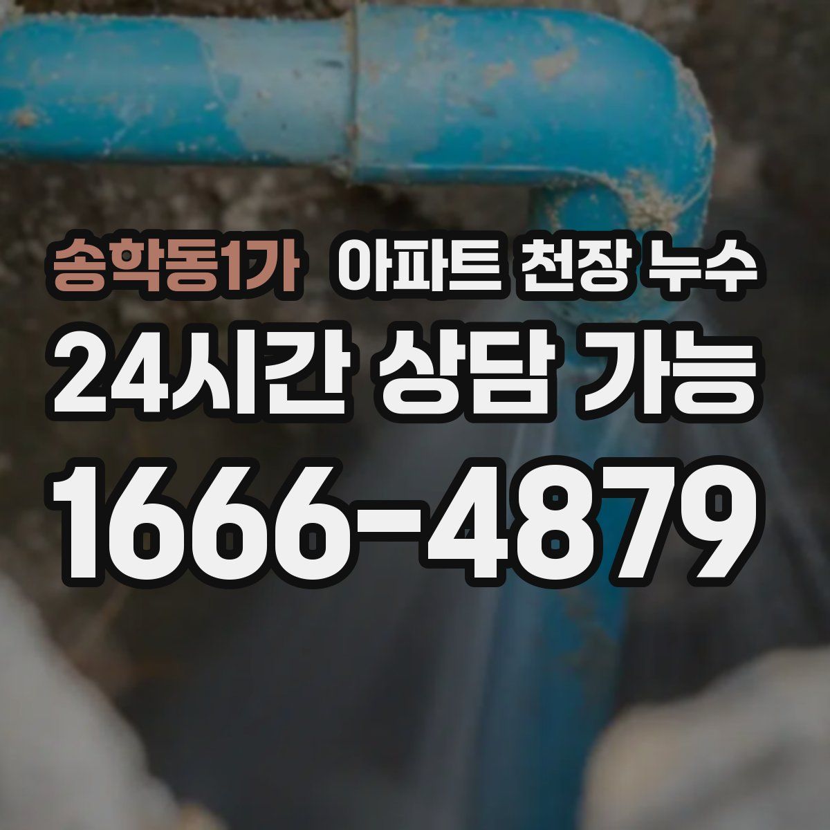 송학동1가 아파트 천장 누수