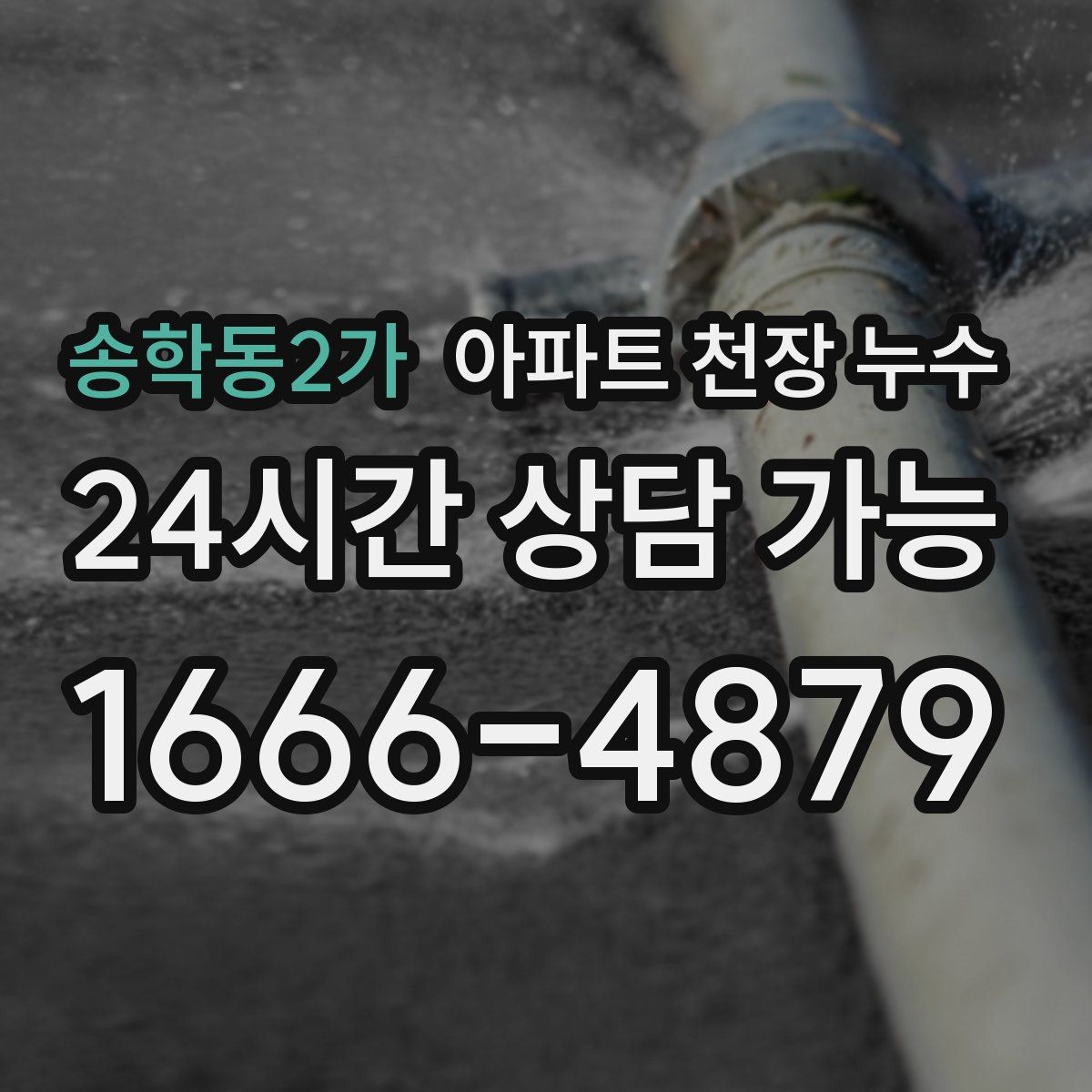 송학동2가 아파트 천장 누수