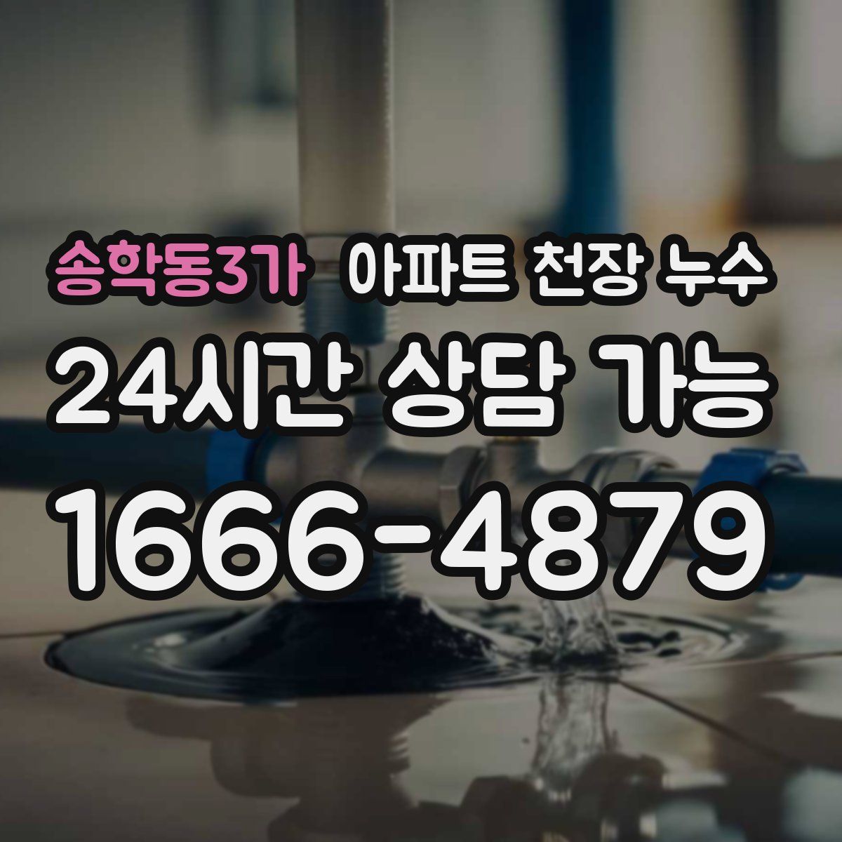 송학동3가 아파트 천장 누수