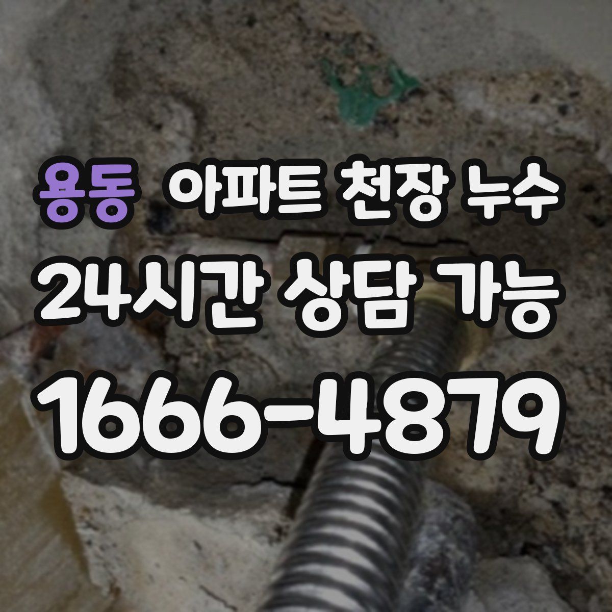용동 아파트 천장 누수